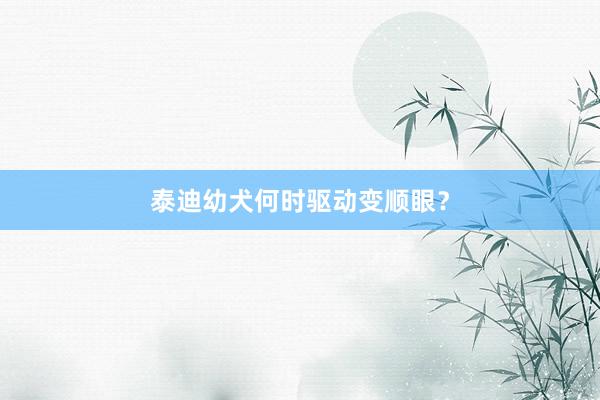 泰迪幼犬何时驱动变顺眼？