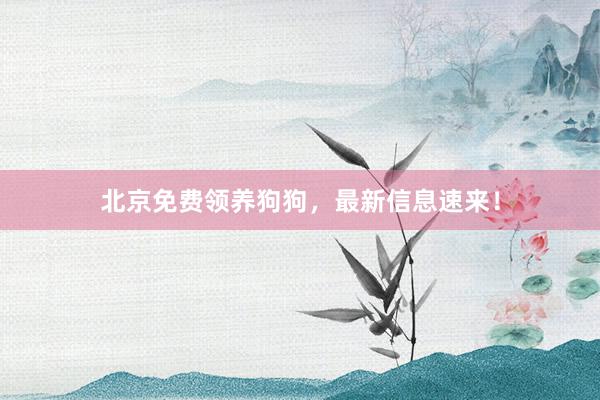北京免费领养狗狗，最新信息速来！