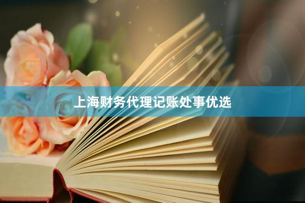 上海财务代理记账处事优选