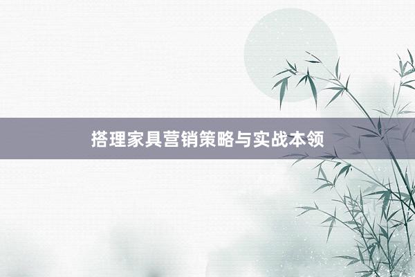 搭理家具营销策略与实战本领